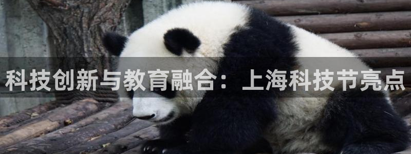 科技创新与教育融合：上海科技节亮点