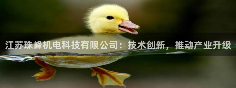 江苏珠峰机电科技有限公司：技术创新，推动产业升级