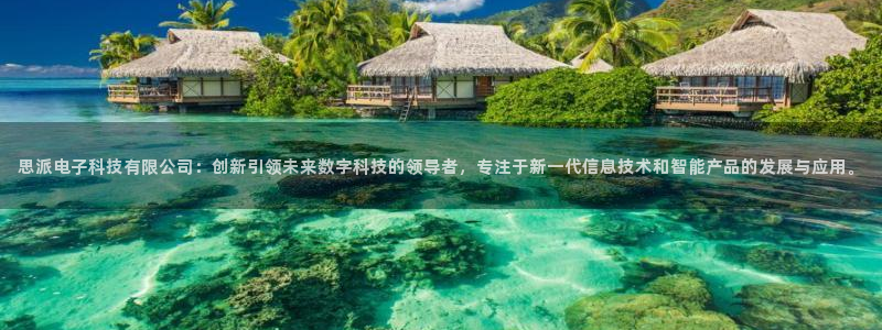 思派电子科技有限公司：创新引领未来数字科技的领导者，专注于新一代信息技术和智能产品的发展与应用。