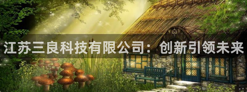 江苏三良科技有限公司：创新引领未来