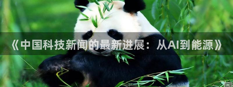《中国科技新闻的最新进展：从AI到能源》