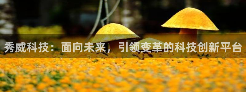 秀威科技：面向未来，引领变革的科技创新平台