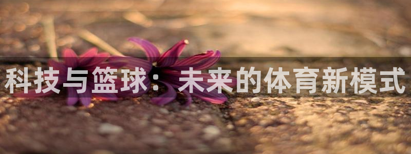 科技与篮球：未来的体育新模式