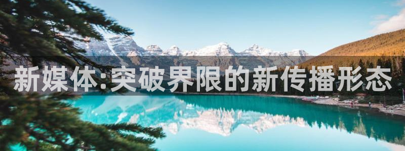 新媒体:突破界限的新传播形态