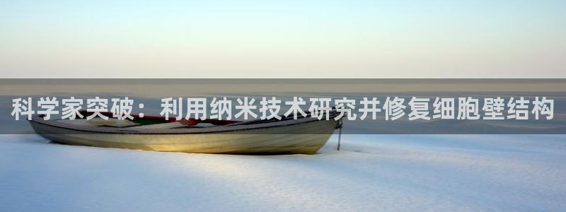 科学家突破：利用纳米技术研究并修复细胞壁结构