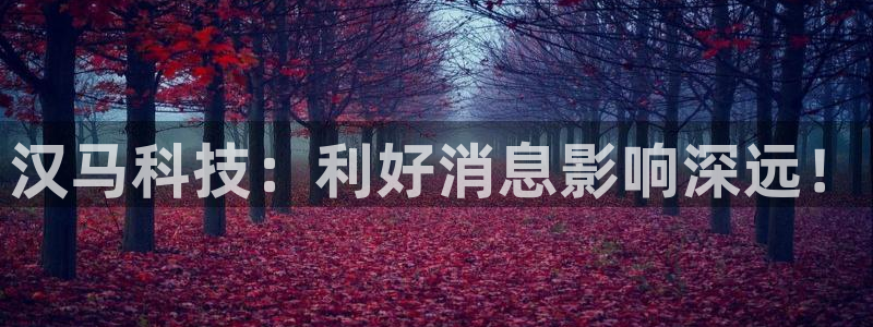 汉马科技：利好消息影响深远！