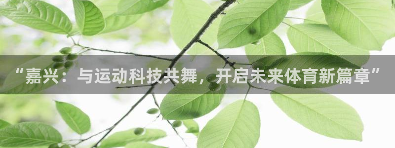 “嘉兴：与运动科技共舞，开启未来体育新篇章”