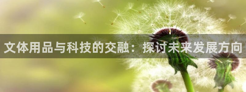 文体用品与科技的交融：探讨未来发展方向