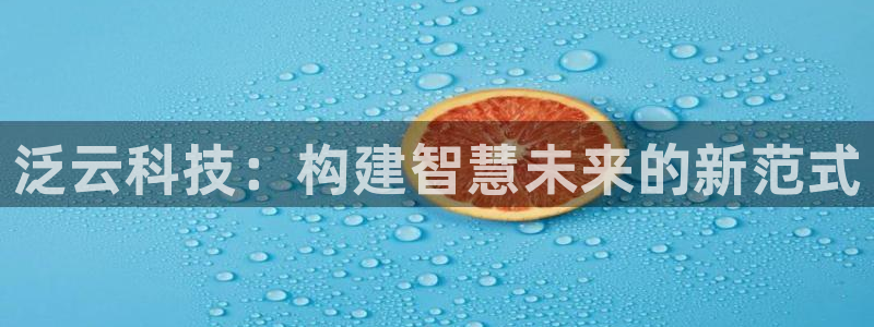 泛云科技：构建智慧未来的新范式