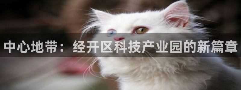 中心地带：经开区科技产业园的新篇章