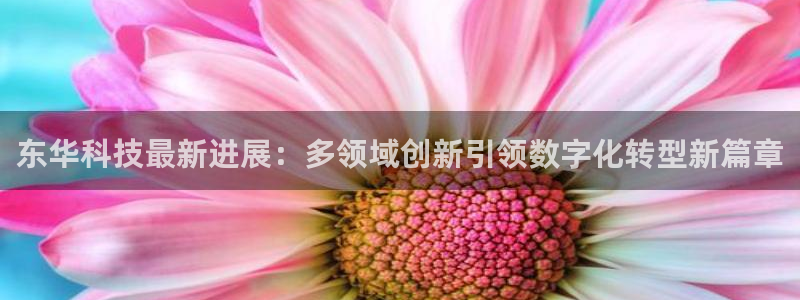 东华科技最新进展：多领域创新引领数字化转型新篇章