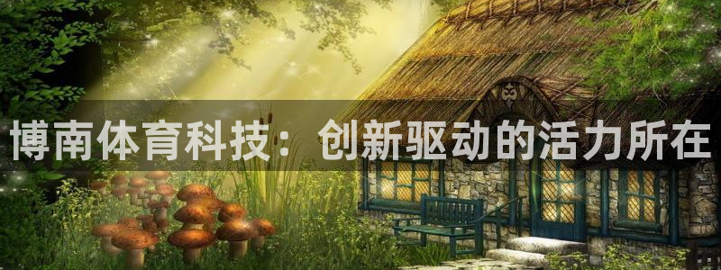 博南体育科技：创新驱动的活力所在