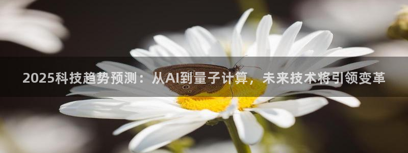 2025科技趋势预测：从AI到量子计算，未来技术将引领变革