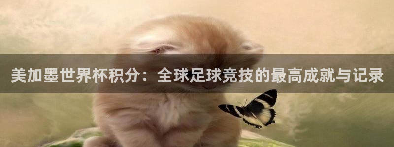 美加墨世界杯积分：全球足球竞技的最高成就与记录