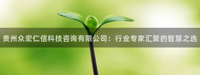 贵州众宏仁信科技咨询有限公司：行业专家汇聚的智慧之选