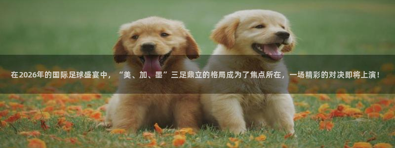 在2026年的国际足球盛宴中，“美、加、墨”三足鼎立的格局成为了焦点所在，一场精彩的对决即将上演！