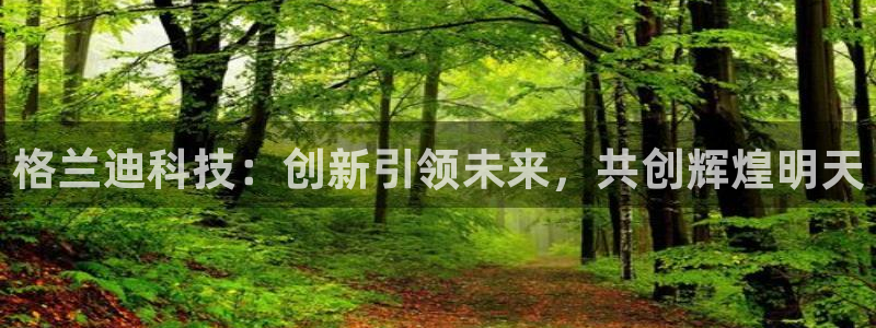 格兰迪科技：创新引领未来，共创辉煌明天