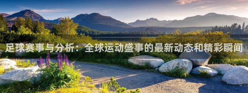 足球赛事与分析：全球运动盛事的最新动态和精彩瞬间