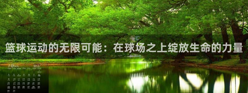 篮球运动的无限可能：在球场之上绽放生命的力量