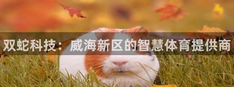 双蛇科技：威海新区的智慧体育提供商