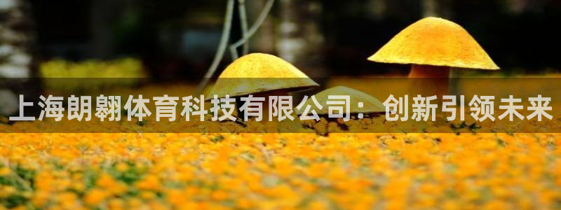 上海朗翱体育科技有限公司：创新引领未来