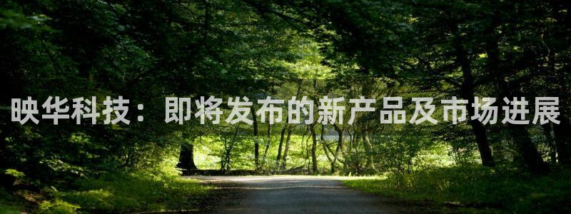 映华科技：即将发布的新产品及市场进展