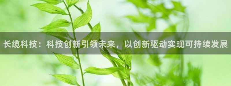 长缆科技：科技创新引领未来，以创新驱动实现可持续发展