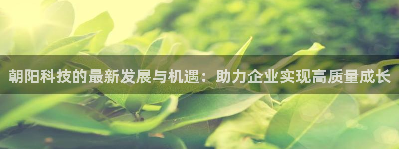 朝阳科技的最新发展与机遇：助力企业实现高质量成长