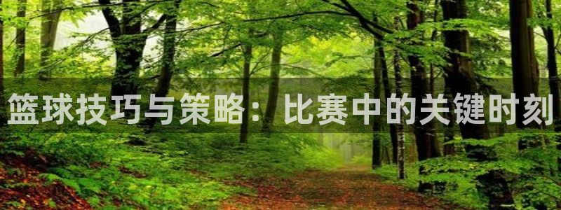篮球技巧与策略：比赛中的关键时刻