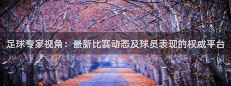 足球专家视角：最新比赛动态及球员表现的权威平台
