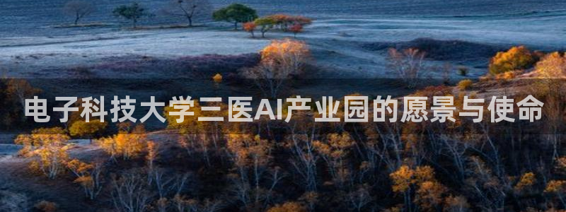 电子科技大学三医AI产业园的愿景与使命